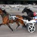 Zapaca dictates terms in feature trot