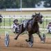 Kentucky Proud finals, exotic animal racing feature in Red Mile opener