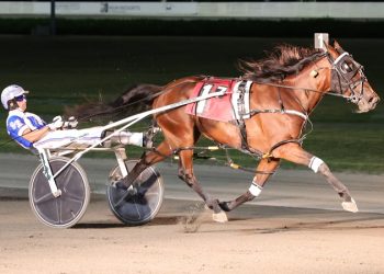 Unbeaten filly wins again in $74,500 NYSS