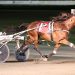 Unbeaten filly wins again in $74,500 NYSS 2 Unbeaten filly wins again in $74,500 NYSS