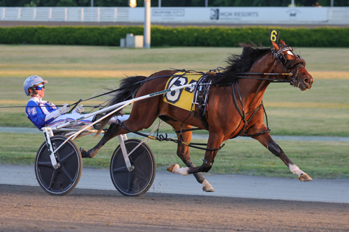 Fast Choice looks to extend winning streak in NYSS