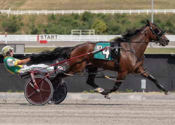 Meadows co-features to Flite Craft, Kings County