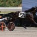 Guido Di gets the job done in Open Trot