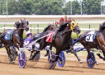 Hungry For Love, El Rey adore The Red Mile