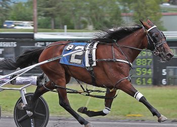 Unbeaten filly wins $106,300 NYSS