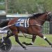 Unbeaten filly wins $106,300 NYSS 2 Unbeaten filly wins $106,300 NYSS