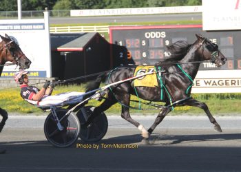 Fourever Boy again; Ranger wins five at Plainridge