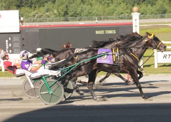 Spirit of Massachusetts Week underway at Plainridge