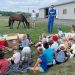 Preschoolers learn about horses at Chris Ryder Stable