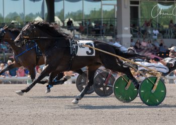 Adios Day Grand Circuit round-up