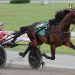 Super Chapter looking to author $300,000 Yonkers Trot win 4 $147,600 NY Sire Stakes action at Yonkers