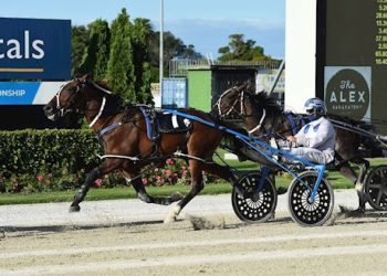 Bidding on 12 Lot auction ends tonight