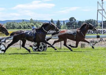 Bidding on 10 lots ends tonight