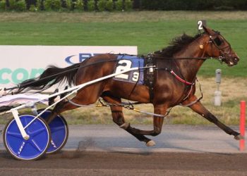 High-quality two-year-olds in action in Kindergarten