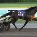Favourites slain in NJSS at The Meadowlands 3 Favourites slain in NJSS at The Meadowlands