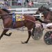 Tardif sweeps Maine Sire Stakes at Skowhegan 2 Tardif sweeps Maine Sire Stakes at Skowhegan