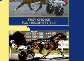 2024 Goshen Yearling Sale catalogs now available