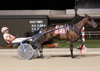 Lt Loverboy shines again in Ohio Sires Stakes