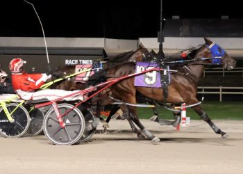 24-1 upset in Buckeye Stallion Series