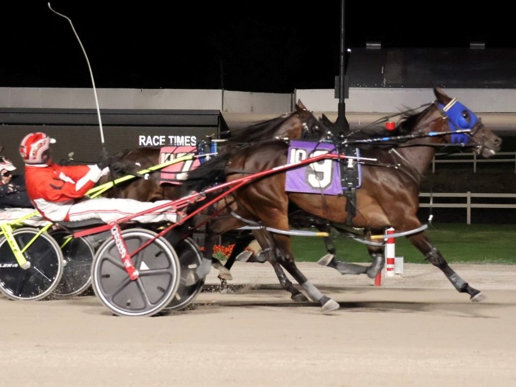 24-1 upset in Buckeye Stallion Series - Harnesslink