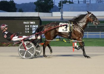 Filly remains undefeated in Ohio Sires Stakes