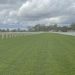 Pacers hit the grass track at Gatton on Sunday 2 Pacers hit the grass track at Gatton on Sunday