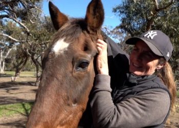 The amazing story of 36-year-old retired pacer Deliberator