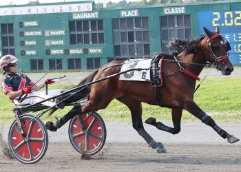 Does perfect season continue for Chic Choc Rose?