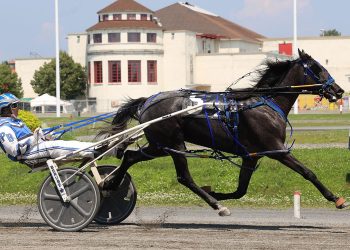 Undefeated filly goes for fourth straight at H3R