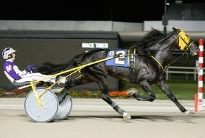 It’s Academic crushes field in $100,000 Aldrich Trot