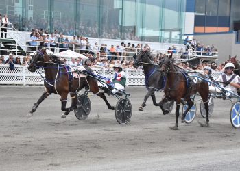 Five divisions of 2YO series held at Hippodrome 3R