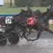 Karl emerges victorious in 99th Hambletonian