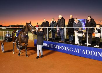 Adored Dreamer on the board