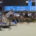 Telfers head down south with three talented fillies 1 Arden’s Memory wins first Nevele R heat