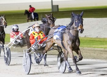 More Group 1 glory for Rockinwithattude