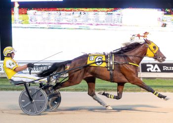 Attraente dazzles in track record at Running Aces