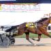 Attraente dazzles in track record at Running Aces 2 Attraente dazzles in track record at Running Aces