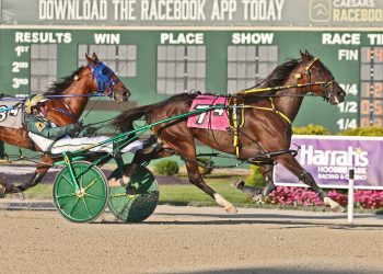 31st Dan Patch Stakes goes for $300,000 Friday
