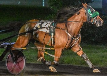 Brutus Bayama makes Stevenson Memorial win #12