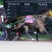 Sophomore trotting colts impress in Indiana Sire Stakes