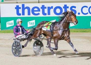 Weekly spotlight on breeding