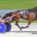Homebreds ready to roll in Aldrich Trot, Charna Pace