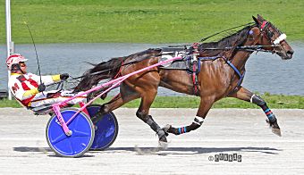 Homebreds ready to roll in Aldrich Trot, Charna Pace