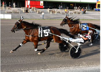 $108,200 NYSS dash to Cowgirl Hanover