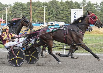 Track record at Cumberland in Pine Tree Invitational