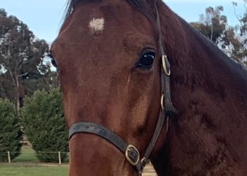 Do It is certainly one to blackbook