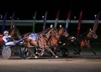 Overland route works for Dougs Babe A