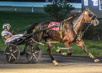 Dublin Dasher handles field in Maryland Standardbred Race Fund