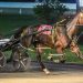 Dublin Dasher handles field in Maryland Standardbred Race Fund