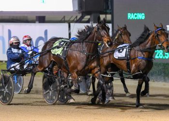 Major Delight stakes a claim to title